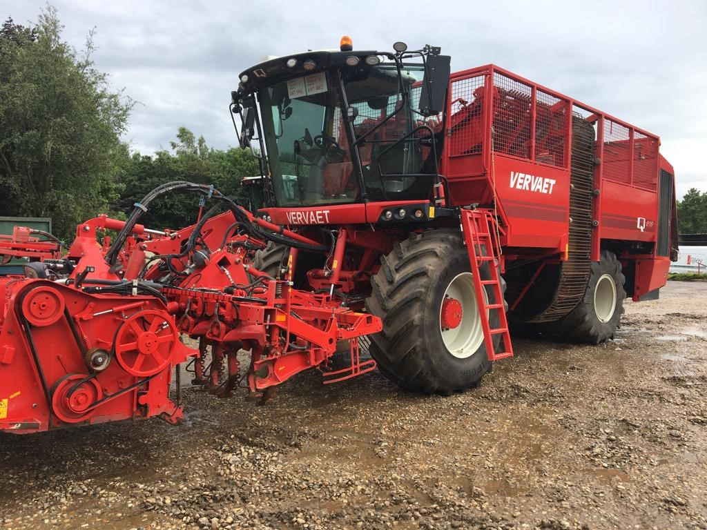 Vervaet Q616