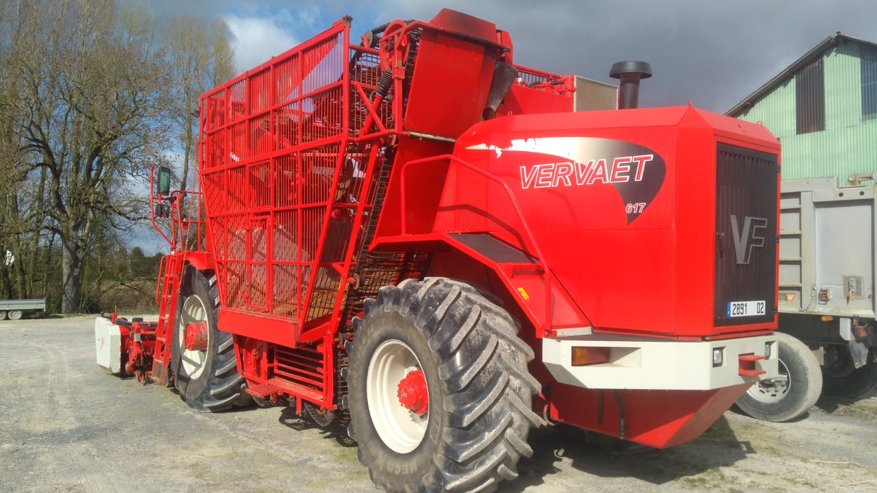 Vervaet Beet Eater 617