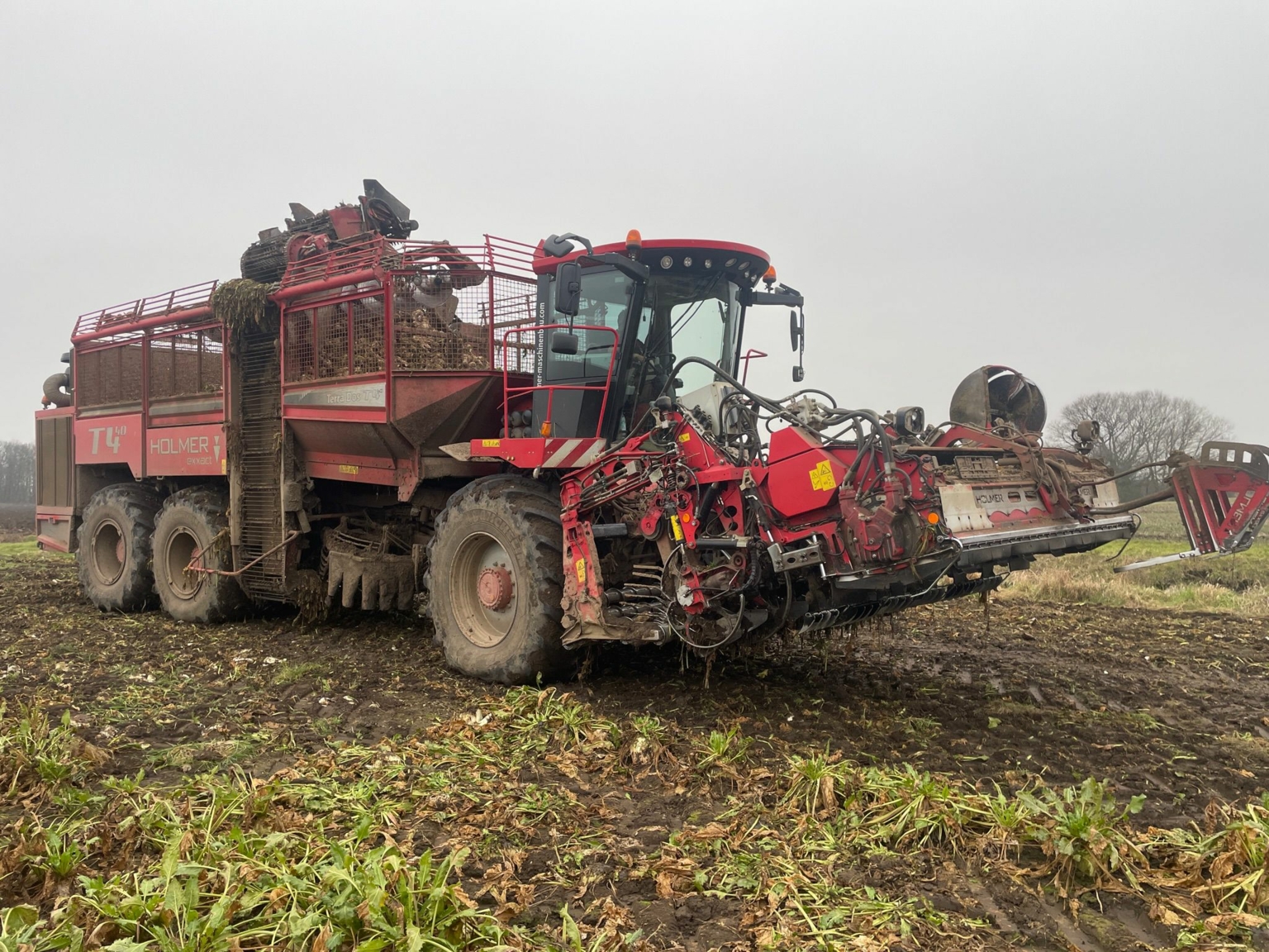 Holmer T4.40