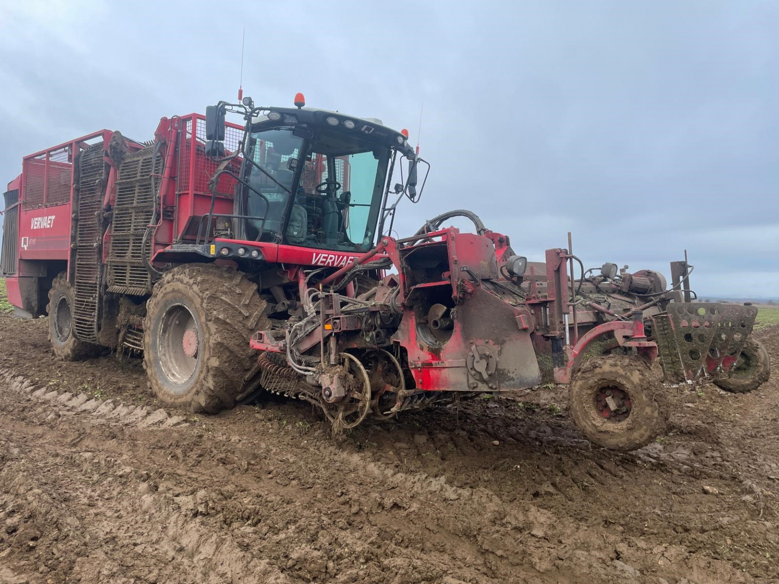 Vervaet Q616