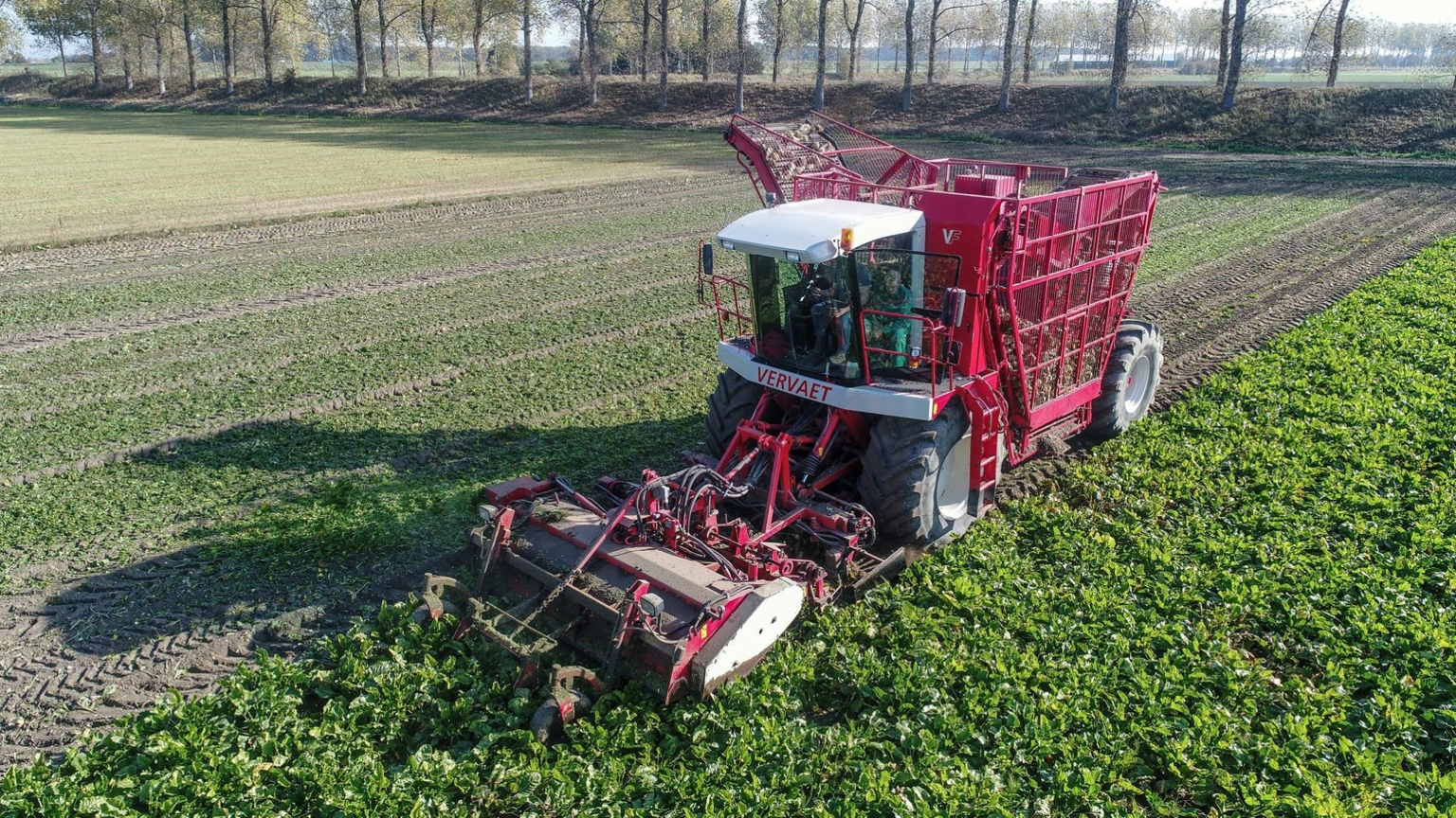 Vervaet 17T