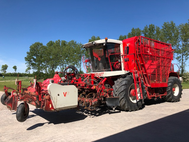 Vervaet Beet Eater 617