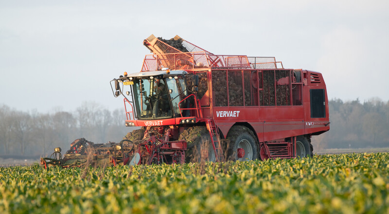 Vervaet Q-series