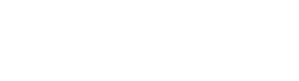 600_wit_png.png