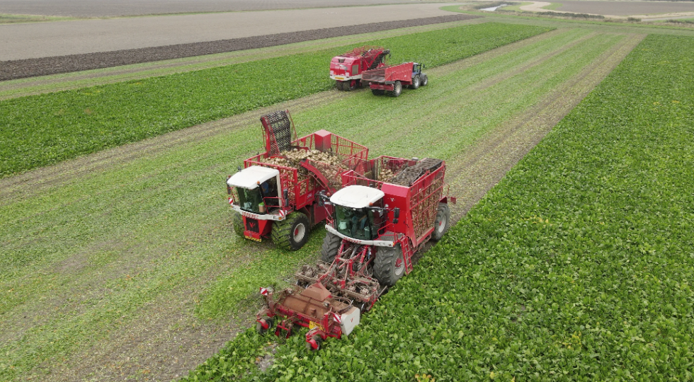 Bietenseizoen begonnen, productie bietenrooiers ten einde