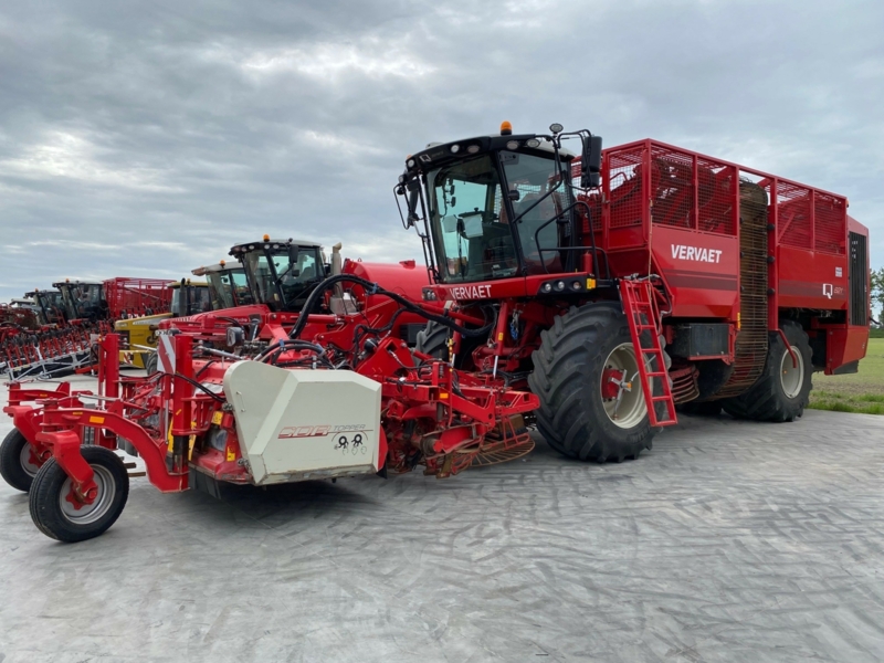 Vervaet Q621