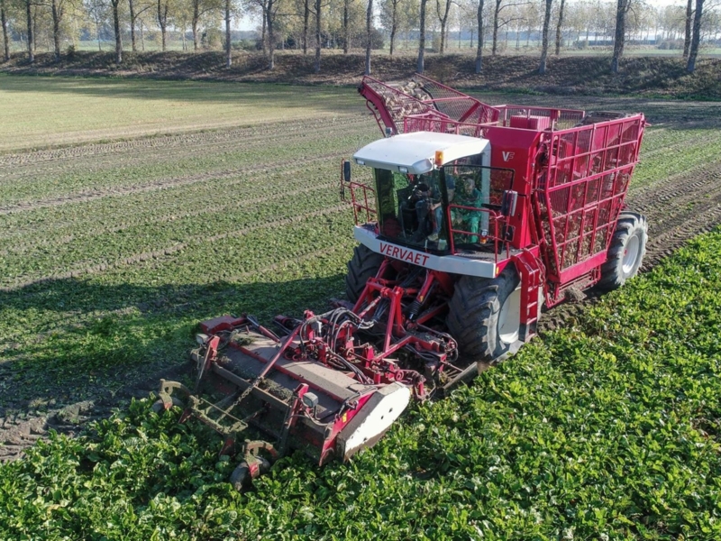 Vervaet 17T