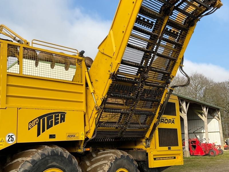 Ropa Tiger 3