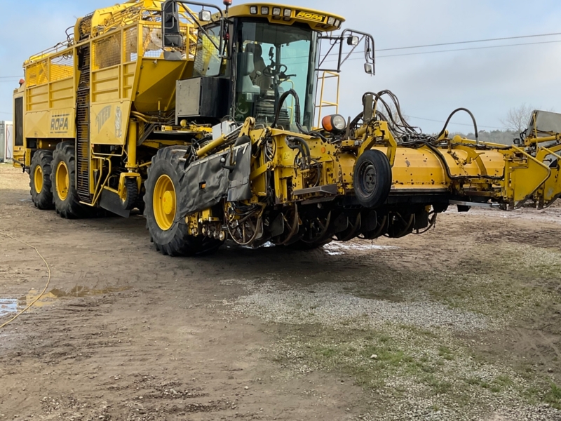 Ropa Tiger 3