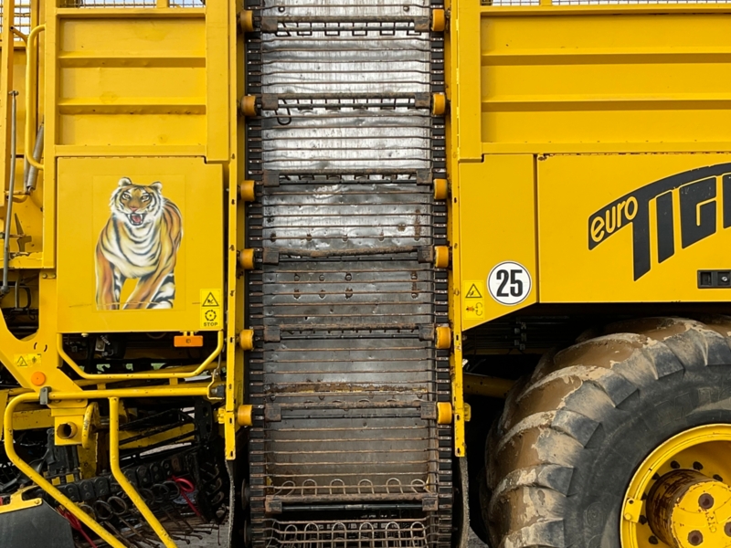 Ropa Tiger 3