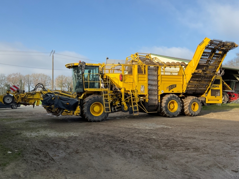 Ropa Tiger 3