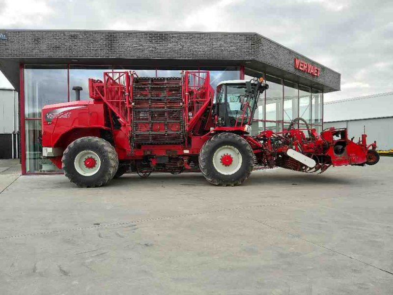 Vervaet Beet Eater 617