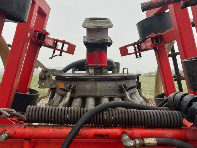 Evers Oldenburger XL 6m