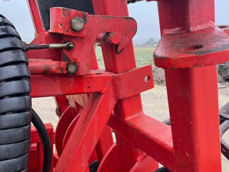 Evers Oldenburger XL 6m