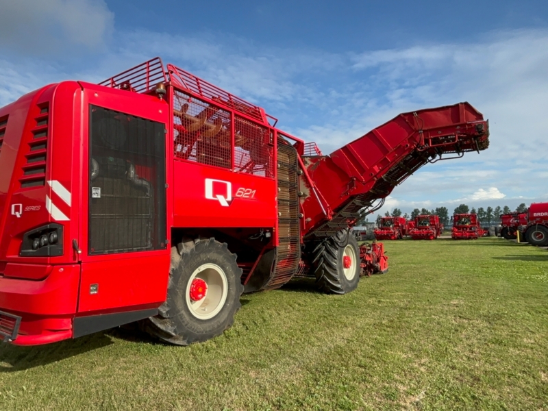 Vervaet Q621