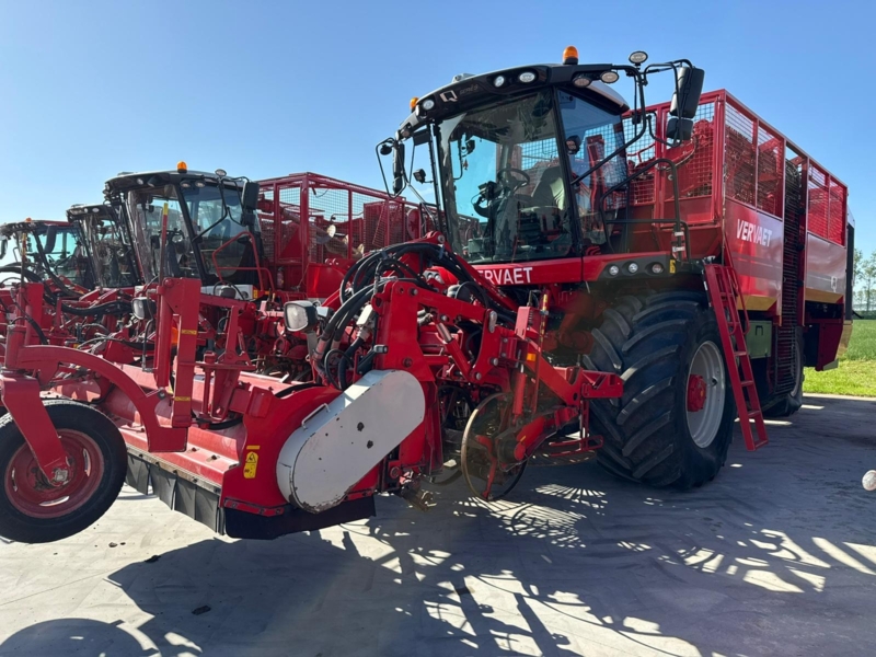 Vervaet Q616
