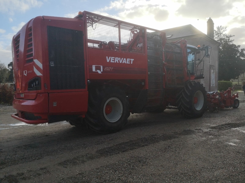 Vervaet Q621