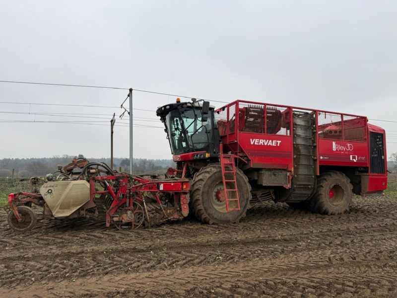 Vervaet Q616 Rollerbed